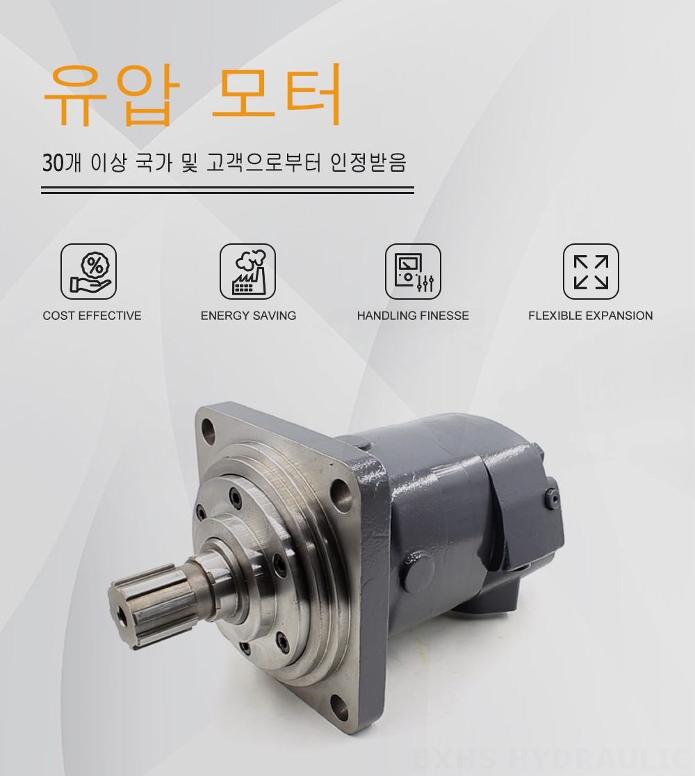 BM6 사이클로이드 유압 모터-2 245 cc/r 150 Lpm 유압 모터